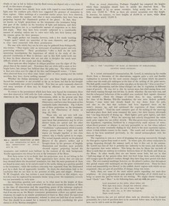 Unser naher Nachbar, Mars (Lithografie)