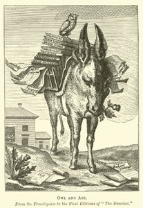 Eule und Esel
