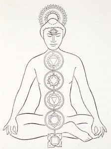 Padmasana oder Lotusposition