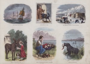Seite aus dem Attraktiven Bilderbuch von English School