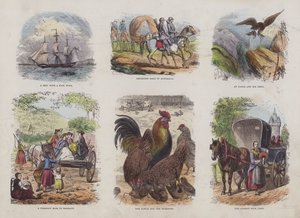 Seite aus dem Attraktiven Bilderbuch (farbige Gravur) von English School