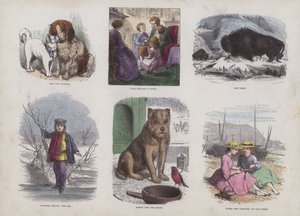 Seite aus dem attraktiven Bilderbuch (farbige Gravur) von English School