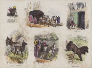 Seite aus dem attraktiven Bilderbuch (kolorierte Gravur) von English School