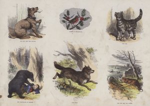 Seite aus dem attraktiven Bilderbuch (kolorierte Gravur) von English School
