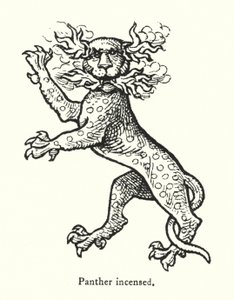 Erregter Panther (Gravur) von English School