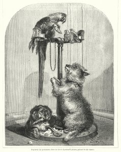 Papagei und Hunde (Gravur) von English School