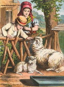 Ein Schaf streicheln