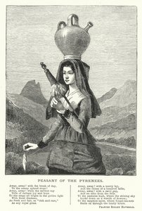 Bauer der Pyrenäen (Gravur) von English School