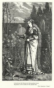 Percy Bysshe Shelley: Illustration für The Sensitive Plant (Stich) von English School