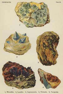 Phosphate, Wavellit, Lazulith, Cuprouranit, Vivianit, Türkis von English School