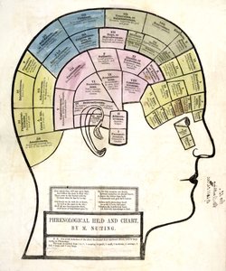 Phrenologischer Kopf und Diagramm, veröffentlicht 1857 (Farblithografie) von English School
