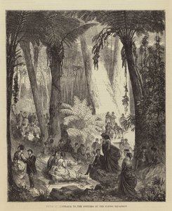 Picknick in Australien für die Offiziere des Fliegenden Geschwaders (Gravur) von English School