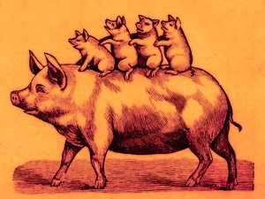 Schwein mit seinen Ferkeln, Illustration aus Coles Lustiges Bilderbuch (digital verbessert) von English School