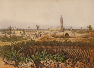 In der Bibel erwähnte Orte: Gaza, die Altstadt von English School