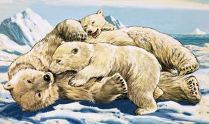 Eisbär und Junge von English School