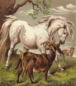 Pony und Ziegen von English School