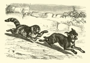 Armer Hund Bright von English School