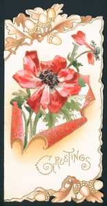 Mohnblume mit Eicheln, Karte von English School