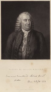 Porträt von Albert de Haller von English School