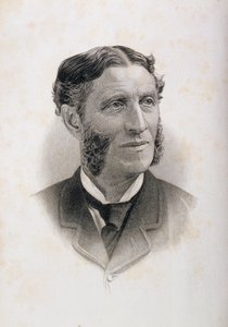 Porträt von Matthew Arnold (1822-88)