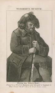 Porträt von Peter dem Wilden Jungen von English School