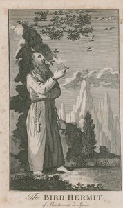 Porträt des Vogel-Einsiedlers von Montserrat von English School