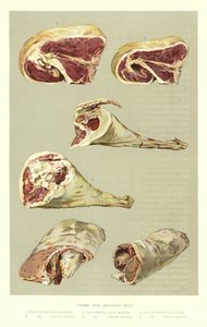 Erstklassiges und minderwertiges Fleisch von English School