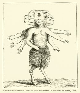 Wunderbares Monster in den Bergen von Zardana in Spanien gefangen, 1655 von English School