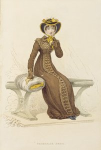 Promenadenkleid, Modeplatte aus Ackermanns Repository of Arts von English School