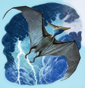 Pterodaktylus von English School