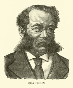 Quadroon von English School