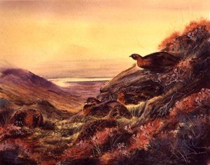 Rothuhn im Moorland, ca. 1890 von English School