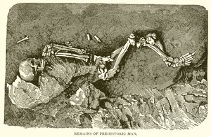 Überreste des prähistorischen Menschen von English School