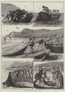 Reta-Fischen an der korsischen Küste von English School