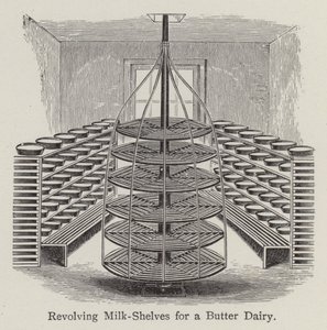 Drehbare Milchregale für eine Butter-Molkerei von English School