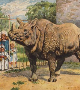 Nashorn