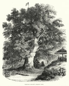 Robinson Crusoes Kastanienbaum von English School
