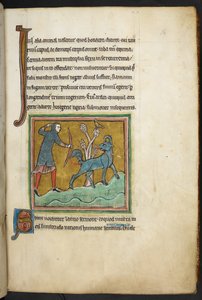 Ein Jäger, der einen Pfeil auf ein Tier schießt, aus Bestiarium (ff. 3-141), Lapidarium (ff. 141v-149), 2. Viertel des 13. Jahrhunderts