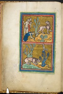 Royal 12 F.XIII, f.5v Oben: drei Männer, von denen einer sich vor einem Löwen verbeugt; unten: ein Löwe kauert am Fuße eines Baumes, mit einem Hahn, der oben sitzt. aus Bestiarium (ff. 3-141), Lapidarium (ff. 141v-149), 2. Viertel des 13. Jahrhunderts von English School