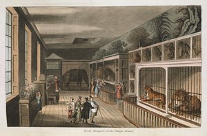 Königliche Menagerie, Exeter (Change Exchange), Strand. Ausgewählte Ansichten von London: mit historischen und beschreibenden Skizzen einiger der interessantesten öffentlichen Gebäude, zusammengestellt und arrangiert von J.B. Papworth. John Buonarotti Papw