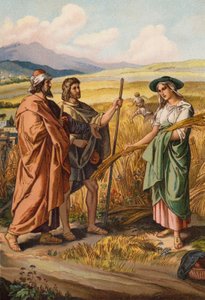 Ruth bittet Boas, ob sie auf seinem Feld Ähren lesen darf von English School
