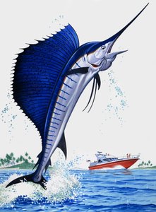 Segelfisch von English School