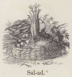 Salat (Gravur) von English School