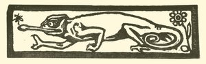 Salamander von English School