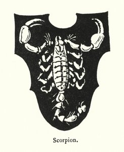 Skorpion (Gravur) von English School