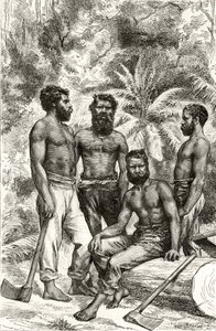 Halbzivilisierte viktorianische Aborigines, aus 