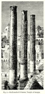 Mit Muscheln markierte Säulen, Tempel von Serapis (Gravur)