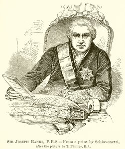 Sir Joseph Banks von English School