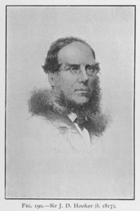 Sir Joseph Dalton Hooker (1817-1911), Porträt von English School
