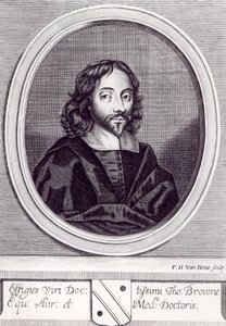 Sir Thomas Browne (1605-82), graviert von Frederick Hendrick van Hove (ca. 1628-98) von English School